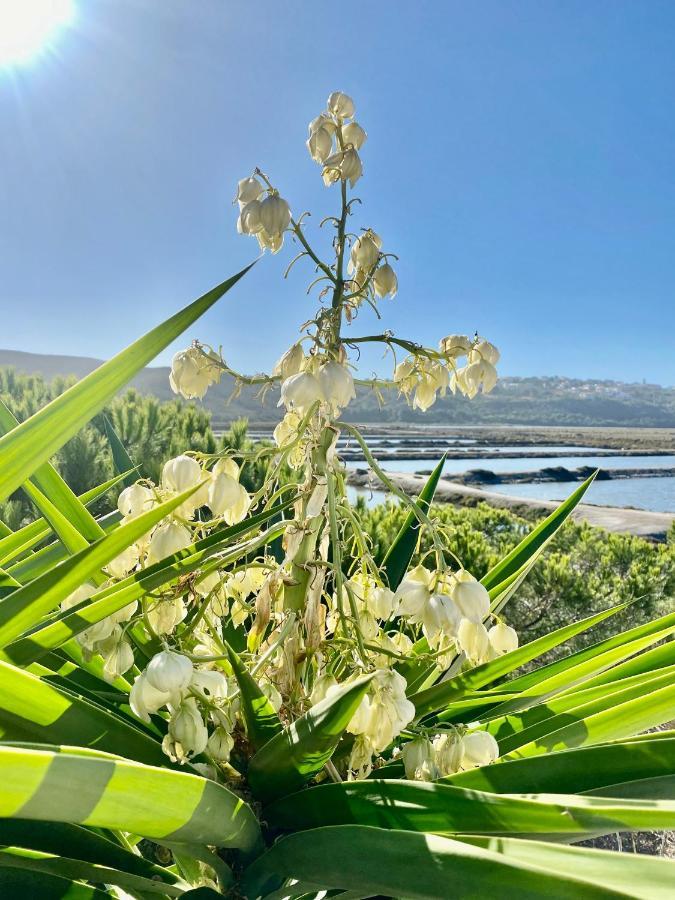 Herdade D' Amoreira Aljezur Bagian luar foto